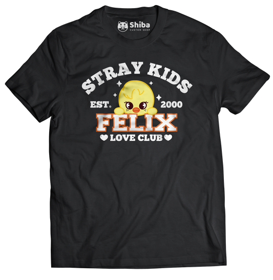 Playera Stray Kids Felix