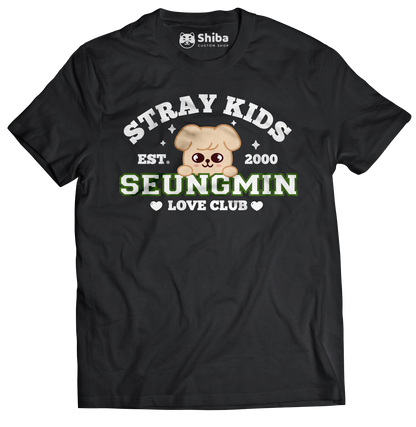 Playera Stray Kids Seungmin