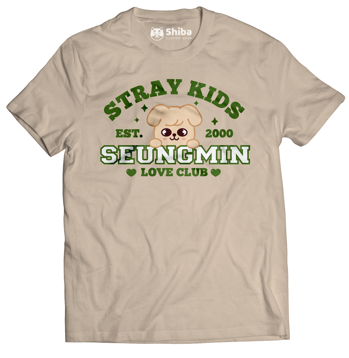 Playera Stray Kids Seungmin